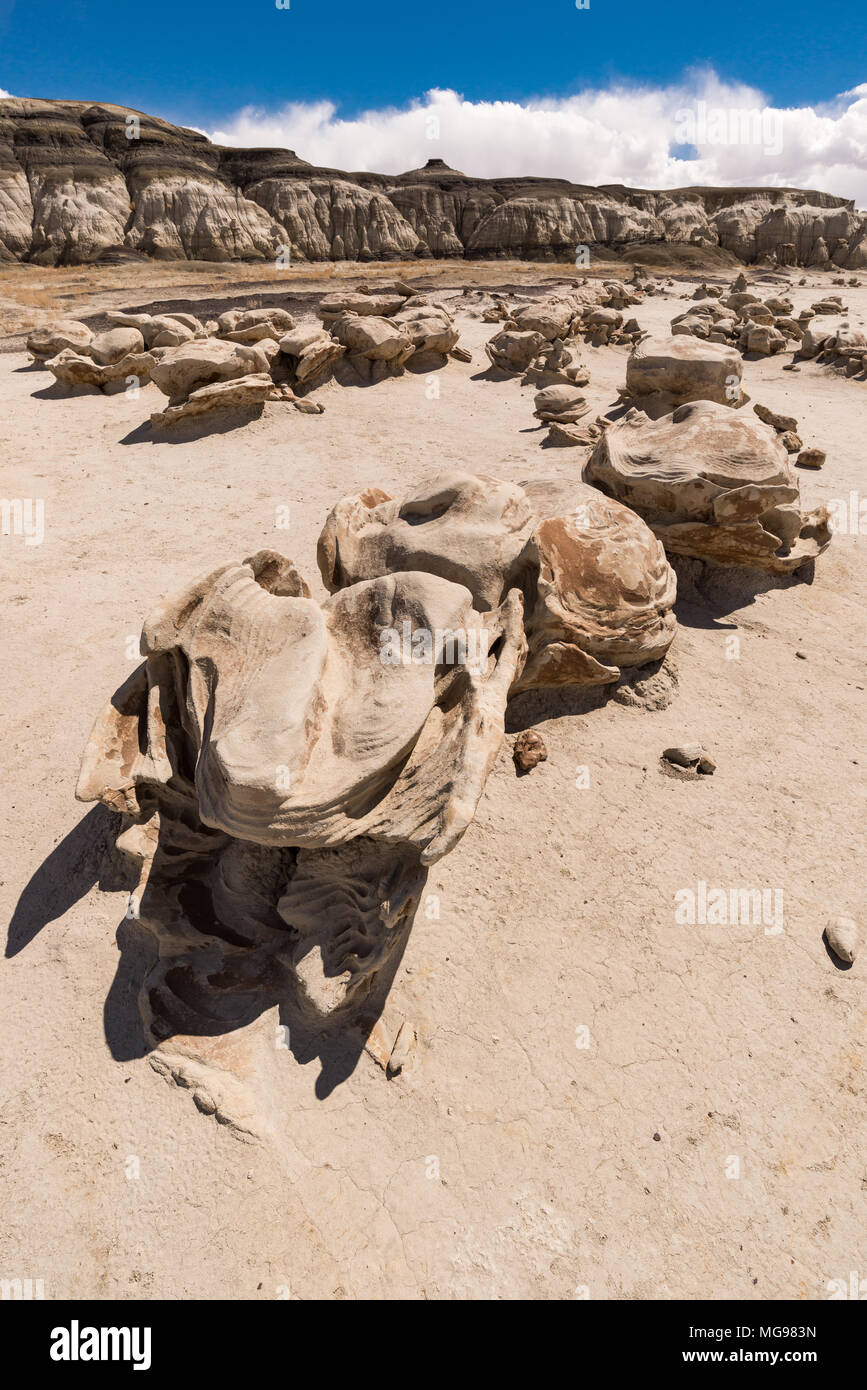 Région sauvage de Bisti ou de-Na-Zin ou formations de roches aux œufs exotiques des badlands, Nouveau-Mexique, États-Unis Banque D'Images