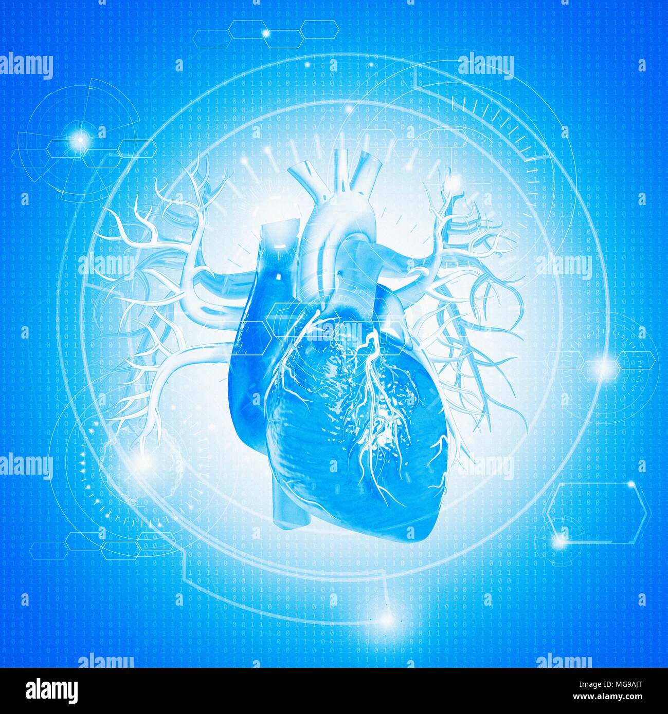 Coeur de l'homme contre l'arrière-plan bleu, illustration. Banque D'Images