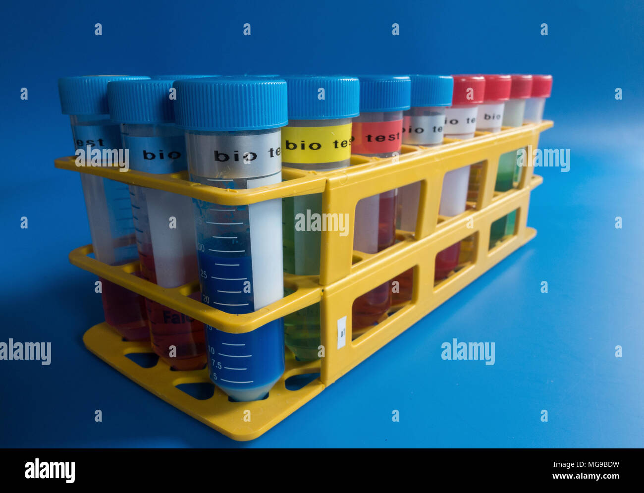 La recherche biologique. Banque D'Images