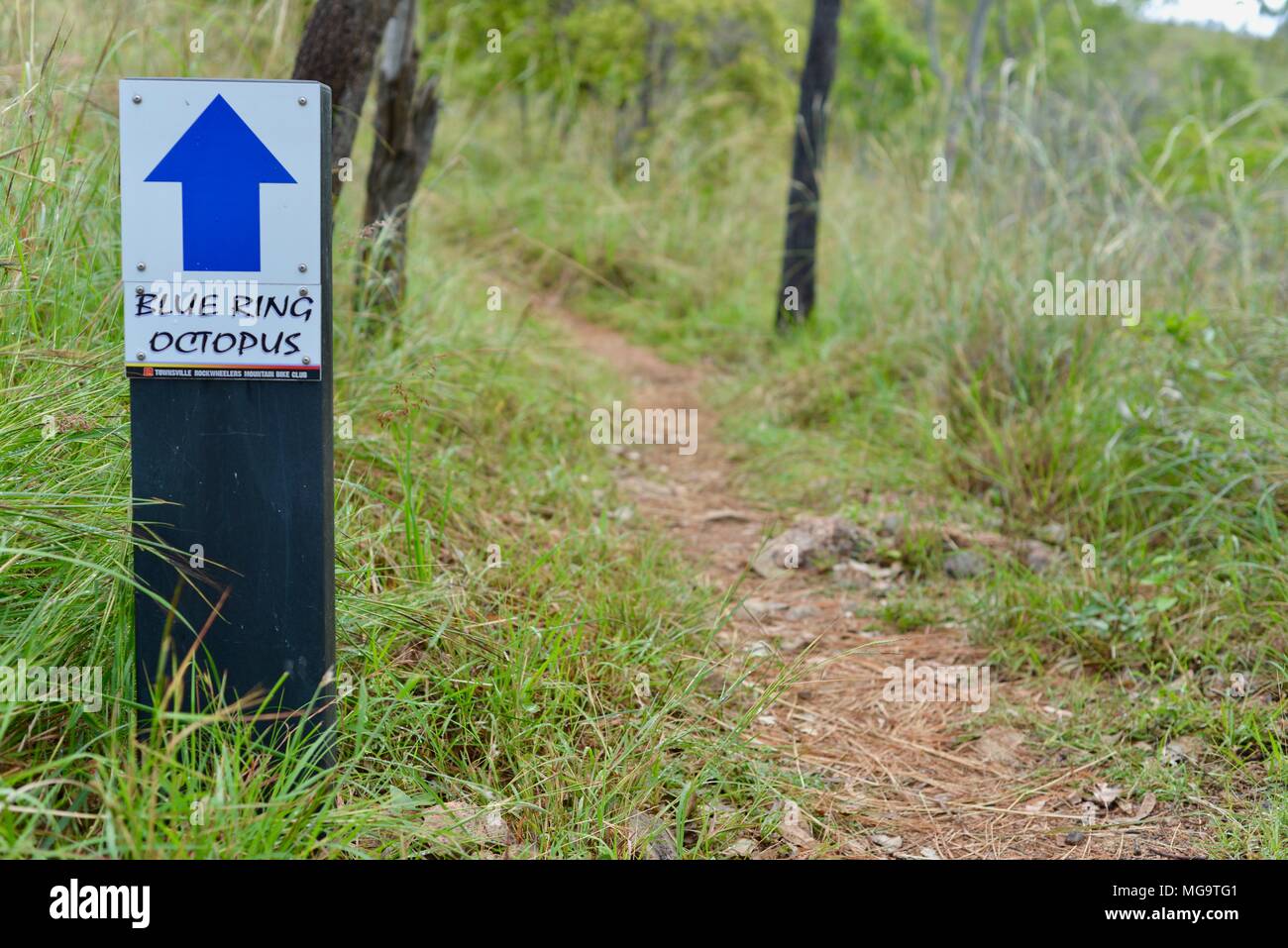 Octopus anneau bleu vtt trail sign, Mount Stuart des sentiers de randonnée, Townsville, Queensland, Australie Banque D'Images