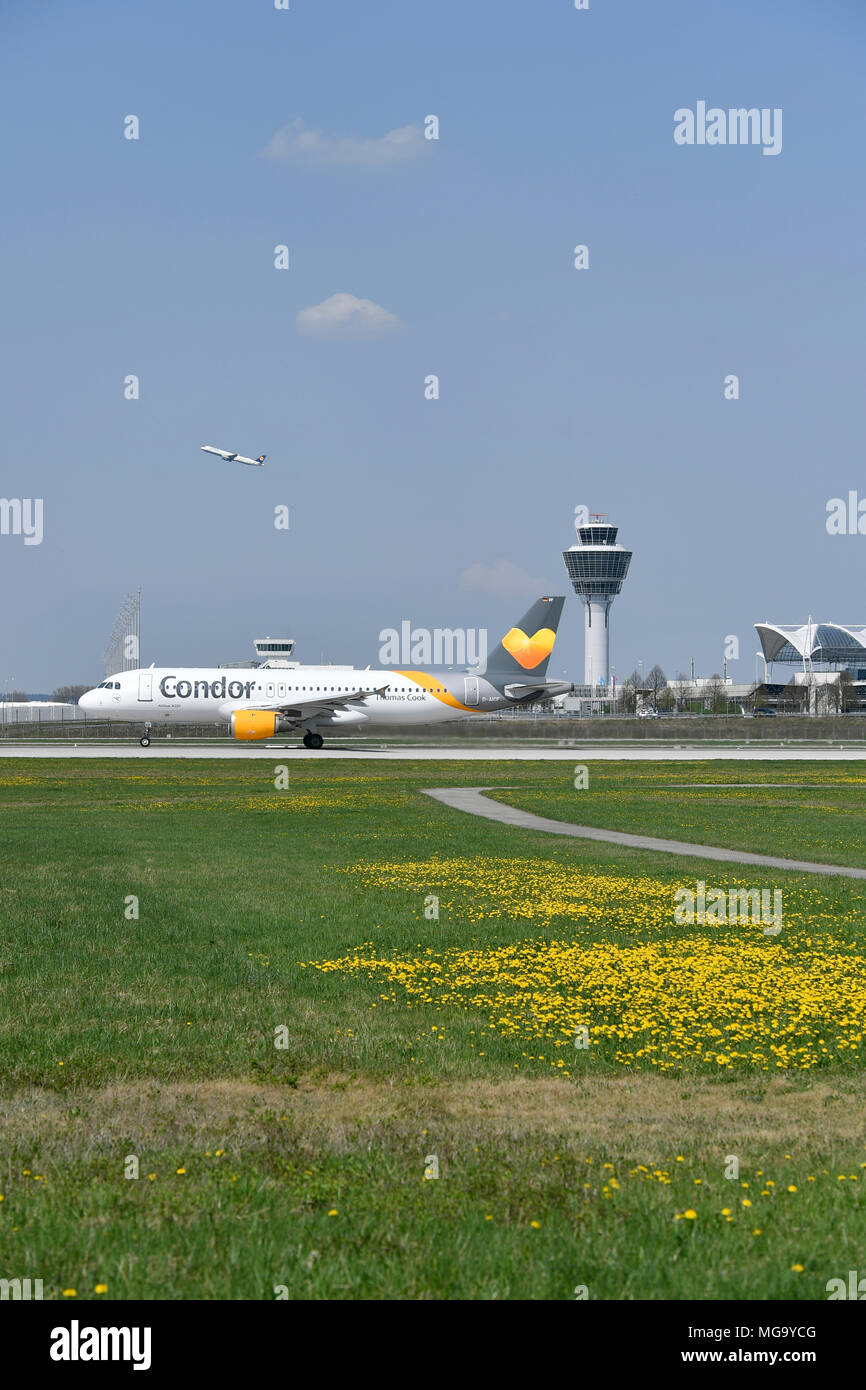 Condor, A320, A 320, avion, avion, avion, Vue, Vue, Panorama, fleur, herbe, weed, démarrer, prendre de l'aéroport, Déploiement, Munich, MUC, Allemagne, Banque D'Images