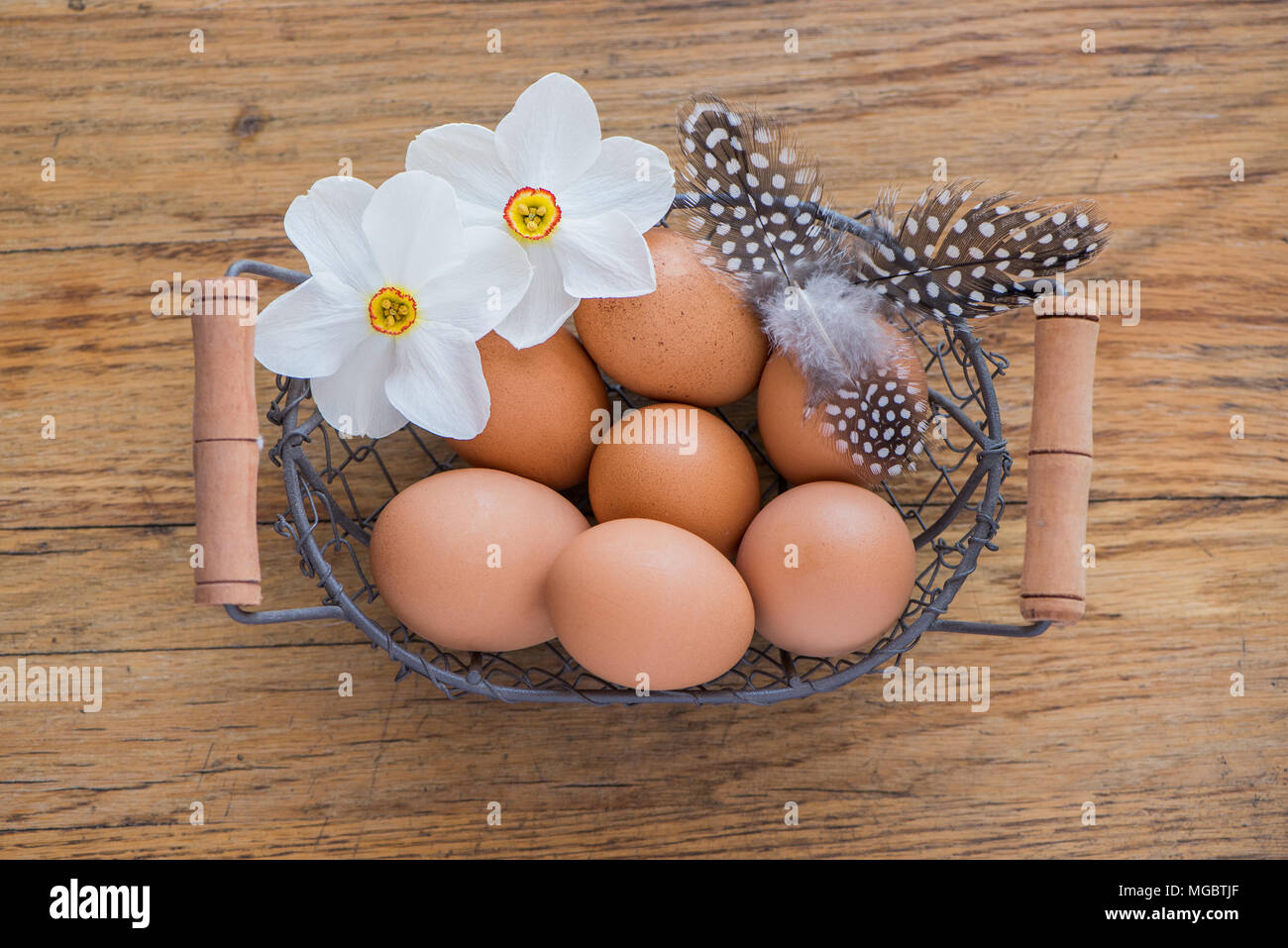 Mise à plat d'œufs de poulet panier Banque D'Images