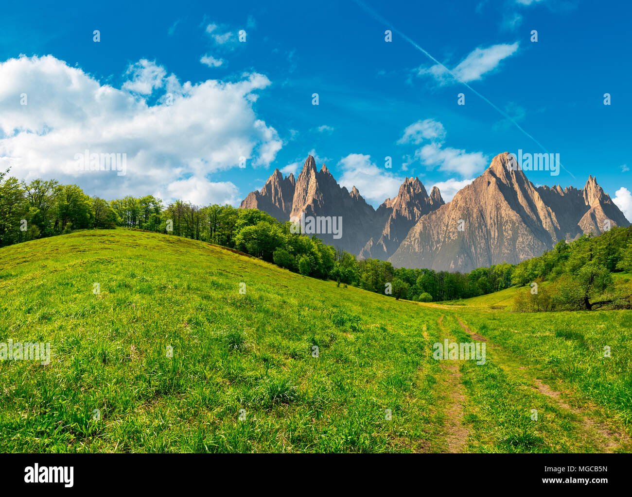 Paysage d'été composite. Chemin à travers la forêt on grassy hillside en Hautes Tatras. beau temps estival avec ciel bleu et quelques nuages Banque D'Images