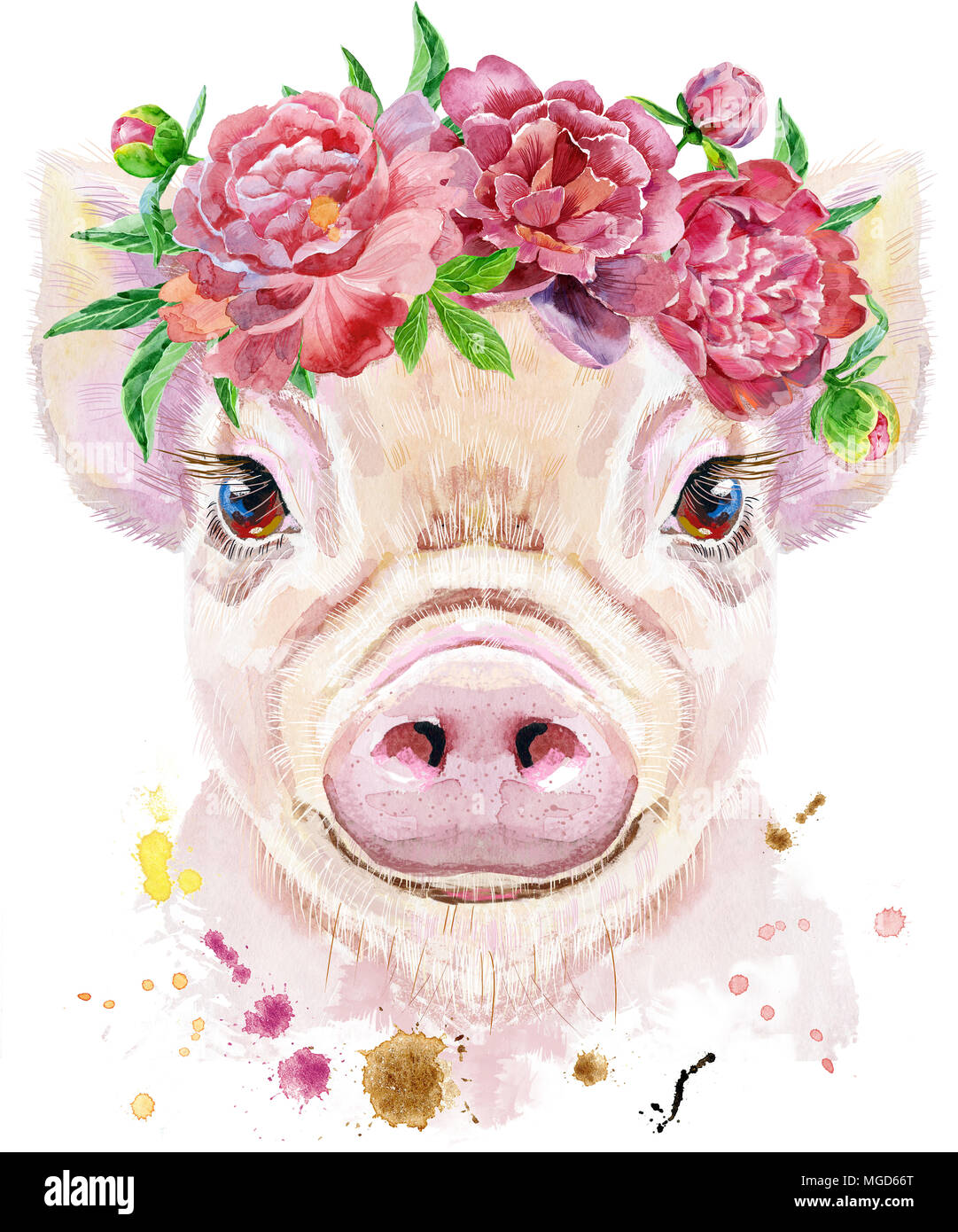 Un beau cochon dans une guirlande de pivoines. Des fleurs. Illustration à l'aquarelle avec des touches. Banque D'Images