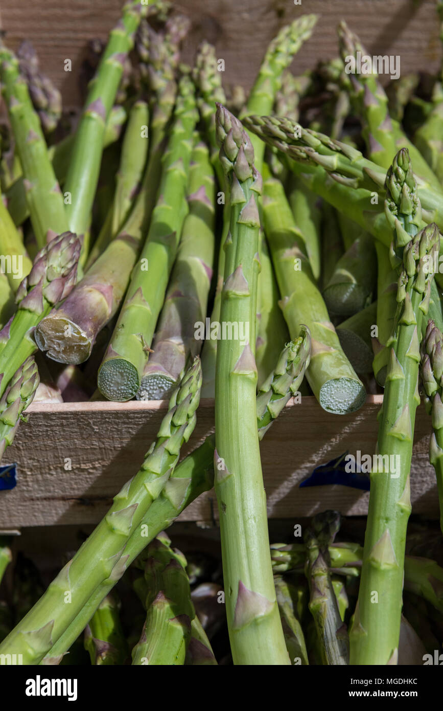 Caisses d'asperges fraîchement coupées sur l'affichage pour la vente à Borough Market, dans le centre de Londres. Légumes verts à un étal de légumes aliments sains. Banque D'Images
