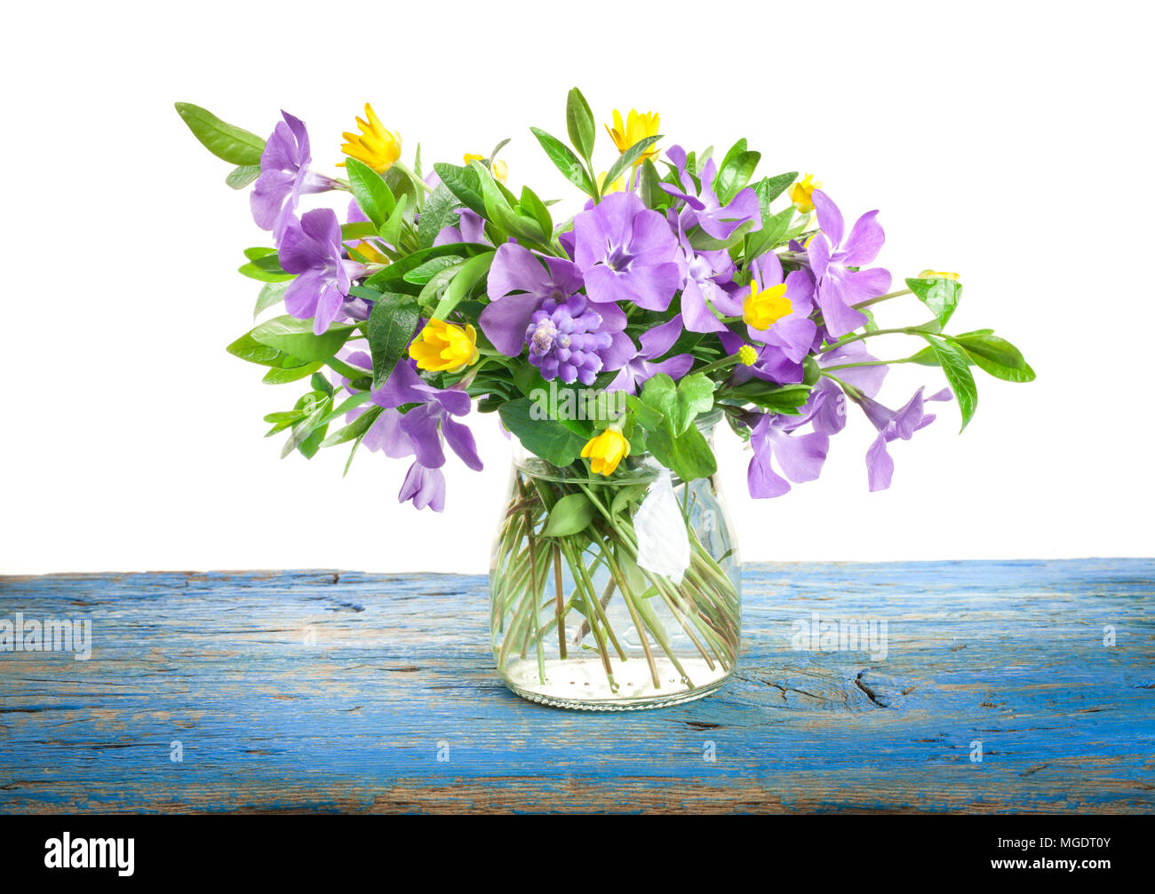 fleurs de printemps dans un vase 【公式通販】