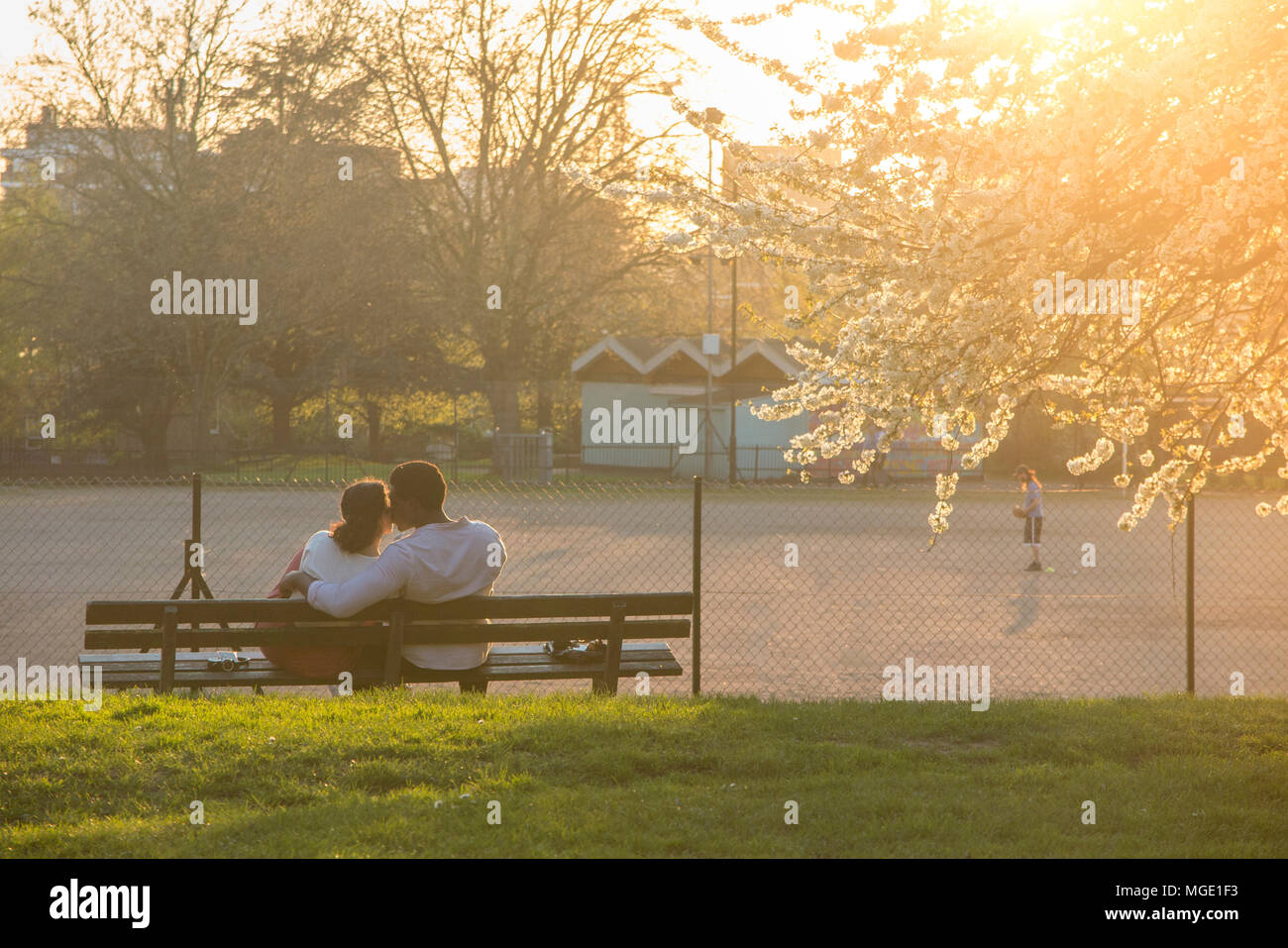 Un couple interracial partager un verre et profiter de chaque d'autres société sous un cerisier en fleurs couvert dans un parc de Londres comme le soleil se couche Banque D'Images