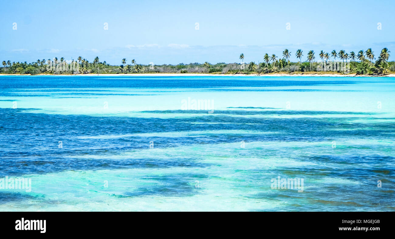 Femme debout au palmier sur la plage des Caraïbes Banque D'Images