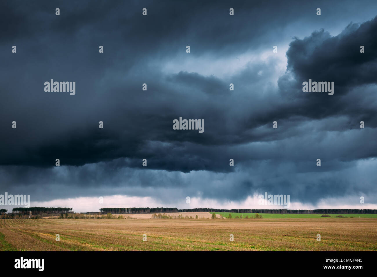 Domaine Rural campagne Spring Meadow Landscape Scenic sous ciel dramatique avant la pluie. Nuages de pluie sur l'horizon. Prévisions météorologiques agricoles et conce Banque D'Images