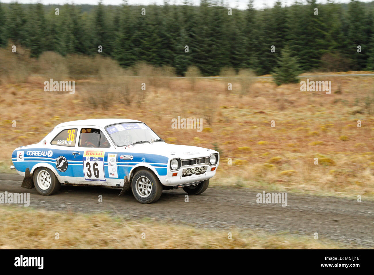 Forêt de Kielder, Northumberland, Royaume-Uni, 28 avril 2018. Pilotes de rallye dans la concurrence internationale et le Rallye Pirelli FUCHS Lubrifiant MSA British Historic Rally Championship. (Spéciale 1 - Pundershaw 1). Andrew Cheal/Alamy Live News Banque D'Images