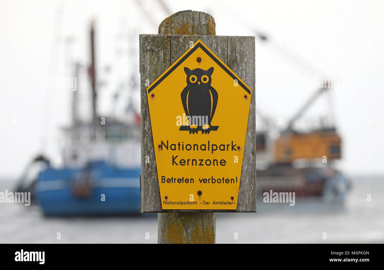 24 avril 2018, l'Allemagne, un navire de travail Prerow : le dragage de l'accès au port d'urgence Darsser Ort dans la zone centrale de la Poméranie occidentale Lagoon Salon National Park ('Nationalpark Vorpommersche Boddenlandschaft'). Le travail doit être achevé au 30 mars 2018. L'accès à l'administration portuaire de limons régulièrement et donc doit fréquemment être dragué afin de sauvetage du DGzRS cruiser 'Theo Fischer' pour rester opérationnel. Photo : Bernd Wüstneck/dpa Banque D'Images