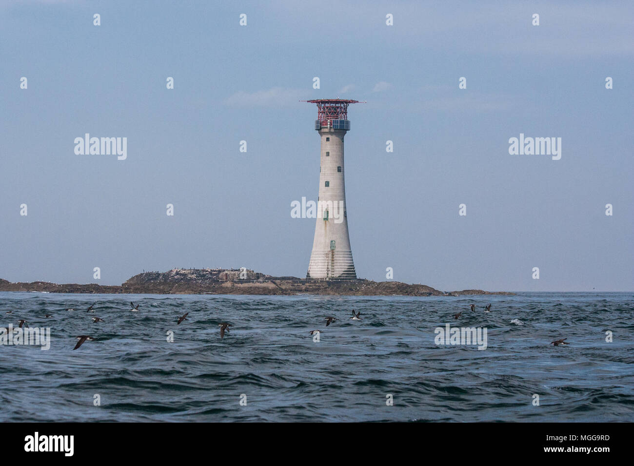 Leuchtturm - Pembrokeshire Wales UK Banque D'Images