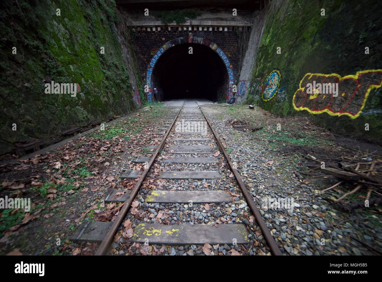 Tunnel couvert de graffitis abandonnés le long de la ligne de chemin de fer  désaffectée à Paris (La Petite Ceinture) près des catacombes Photo Stock -  Alamy