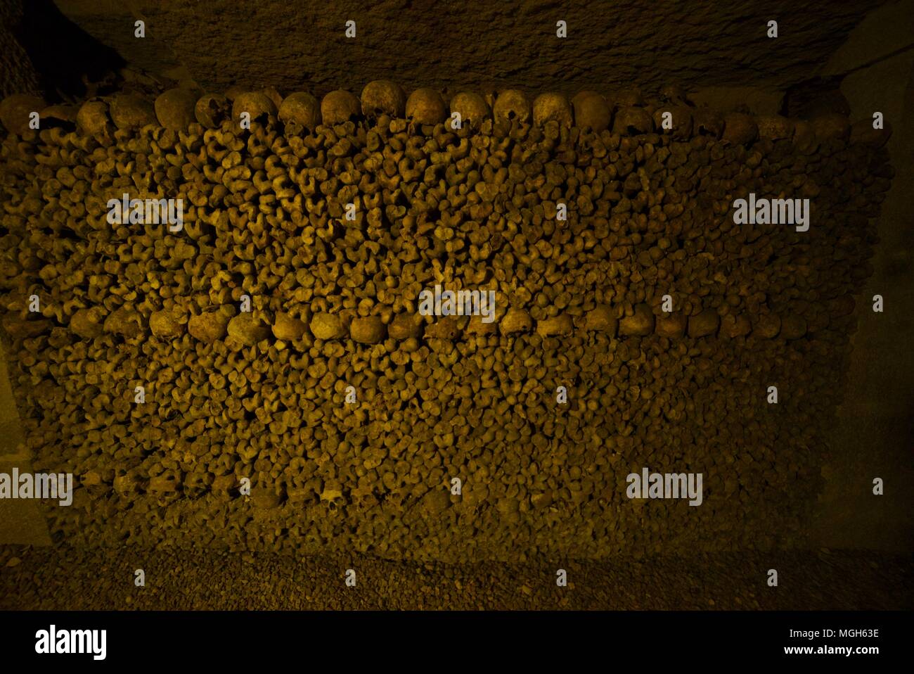 Mur d'os dans les catacombes de Paris Banque D'Images