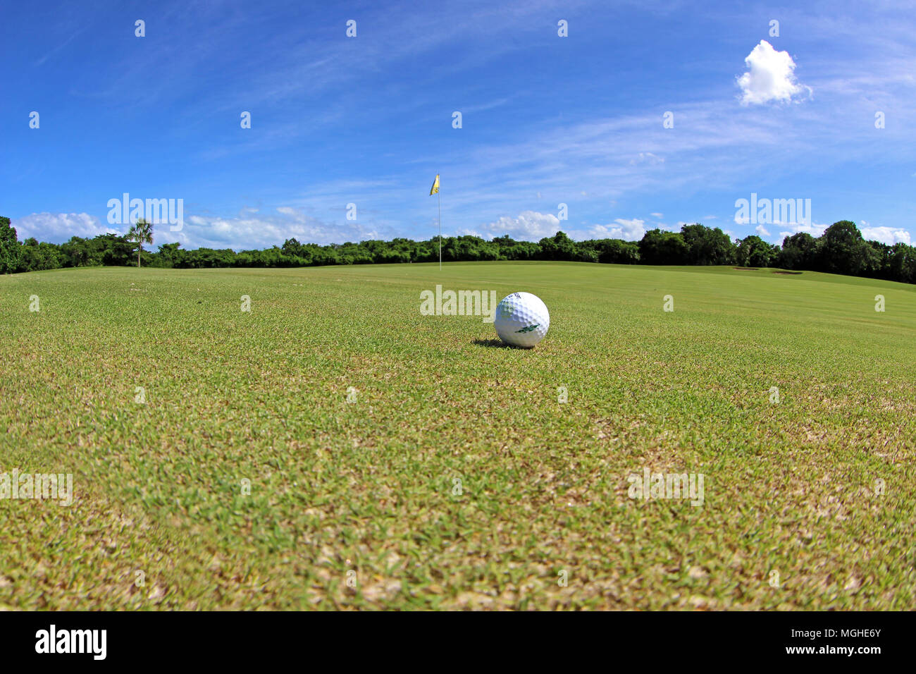 Balle de golf sur le cours Banque D'Images