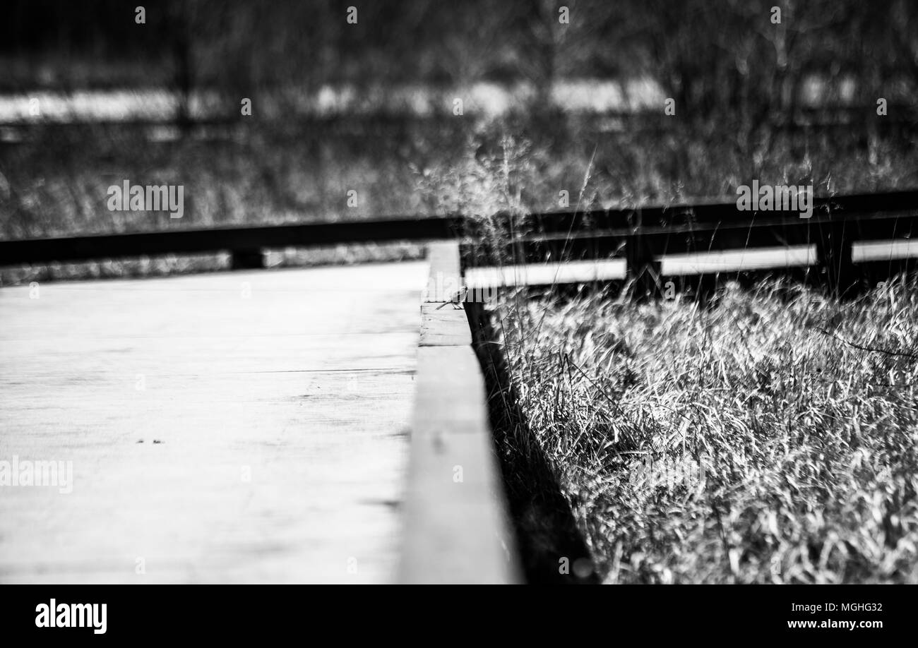 Traversée de pont Banque D'Images