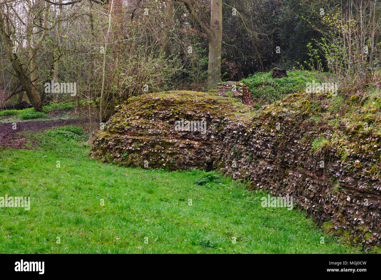 Voir l'angle sud-ouest de la bastion de la deux milles de long mur romain AD265-70 construit pour défendre la ville de Verulamium (St Albans), Angleterre, Royaume-Uni. Banque D'Images