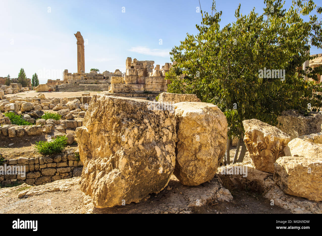 Grande cour du temple de Baalbek. Banque D'Images
