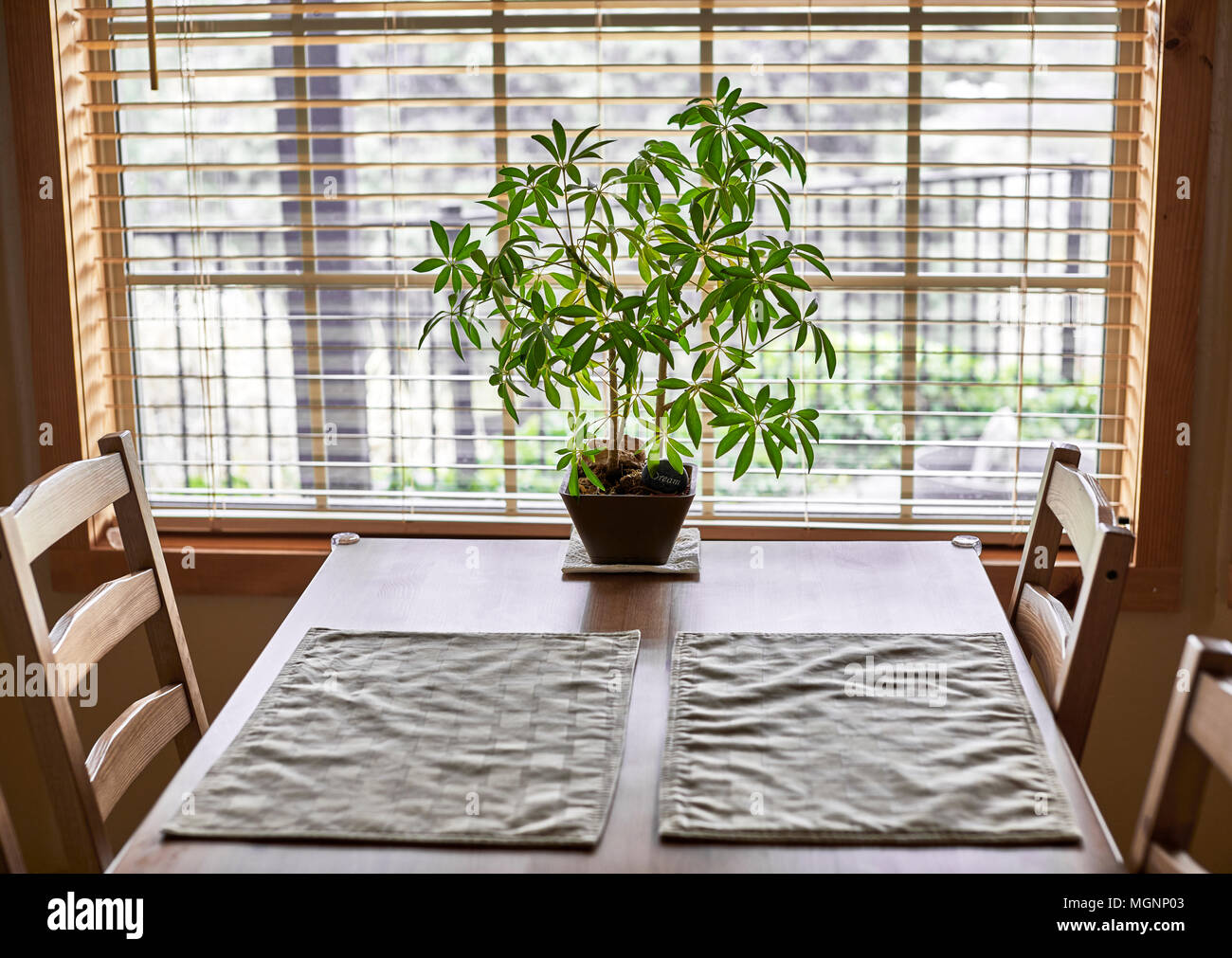 Une table et chaises de cuisine en bois près d'une fenêtre avec une plante en pot et napperons Banque D'Images