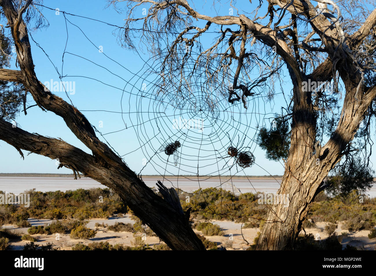 Land art des araignées d'un site web en fil métallique, lac Monger, Karara, Australie occidentale Parc Parcours Banque D'Images