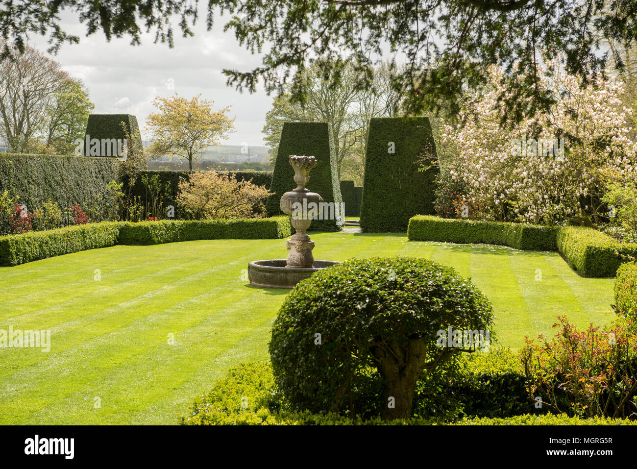 Jardin anglais formel avec topiaire, pelouse bien entretenue et fleurs printanières sous un ciel spectaculaire dans un cadre historique. Banque D'Images