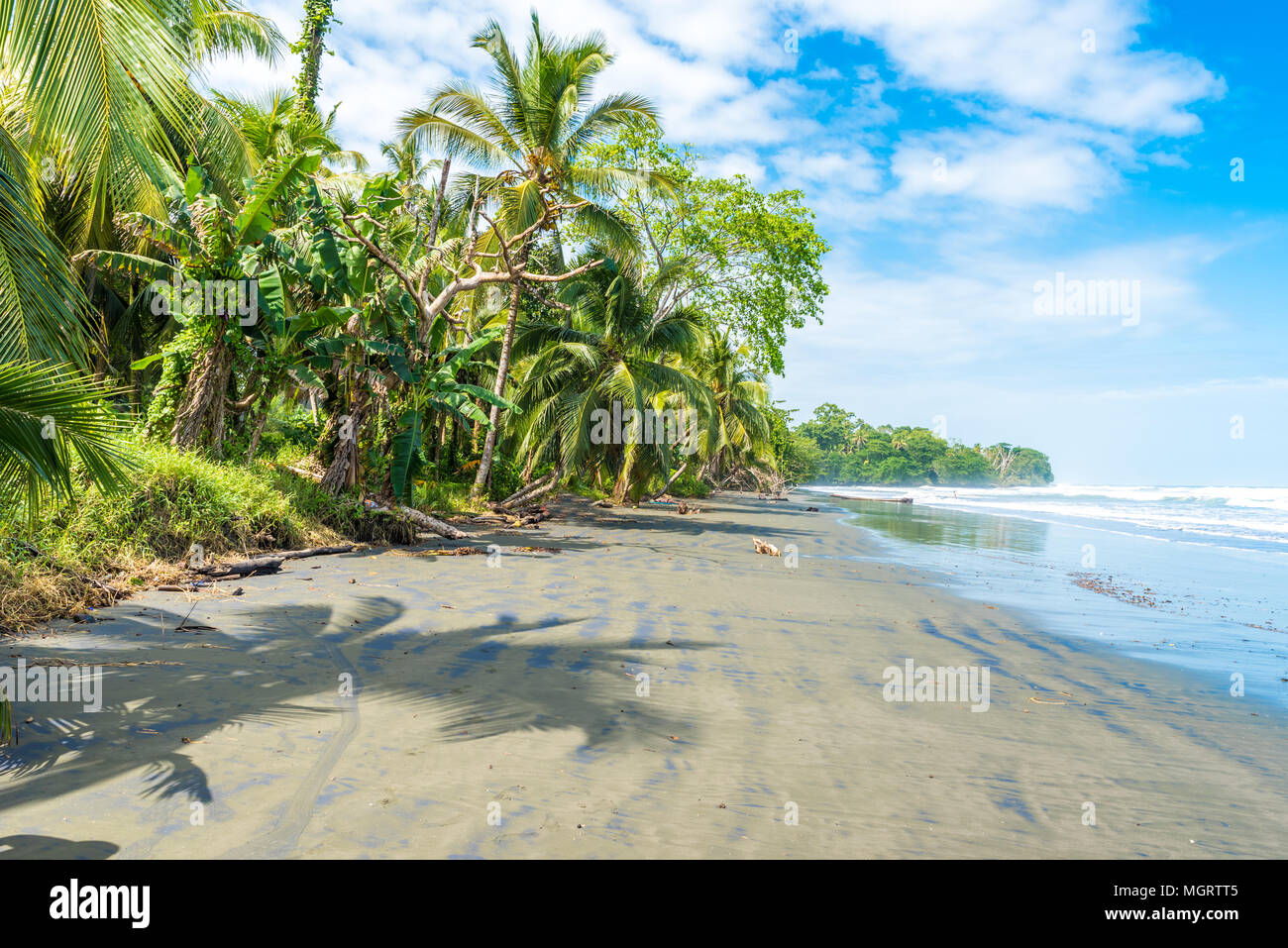 Playa Negra Plage Noire à Cahuita Costa Rica Limon