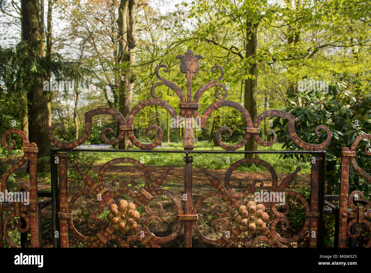 Portail décoratif en fer forgé avec un design floral complexe debout à l'entrée d'une zone boisée ensoleillée au printemps, entouré de foli vert frais Banque D'Images