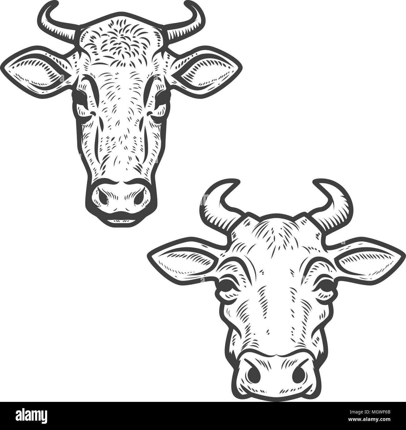 Ensemble de têtes de vache sur fond blanc. L'élément de conception de logo, étiquette, emblème, signe. Image vectorielle Illustration de Vecteur