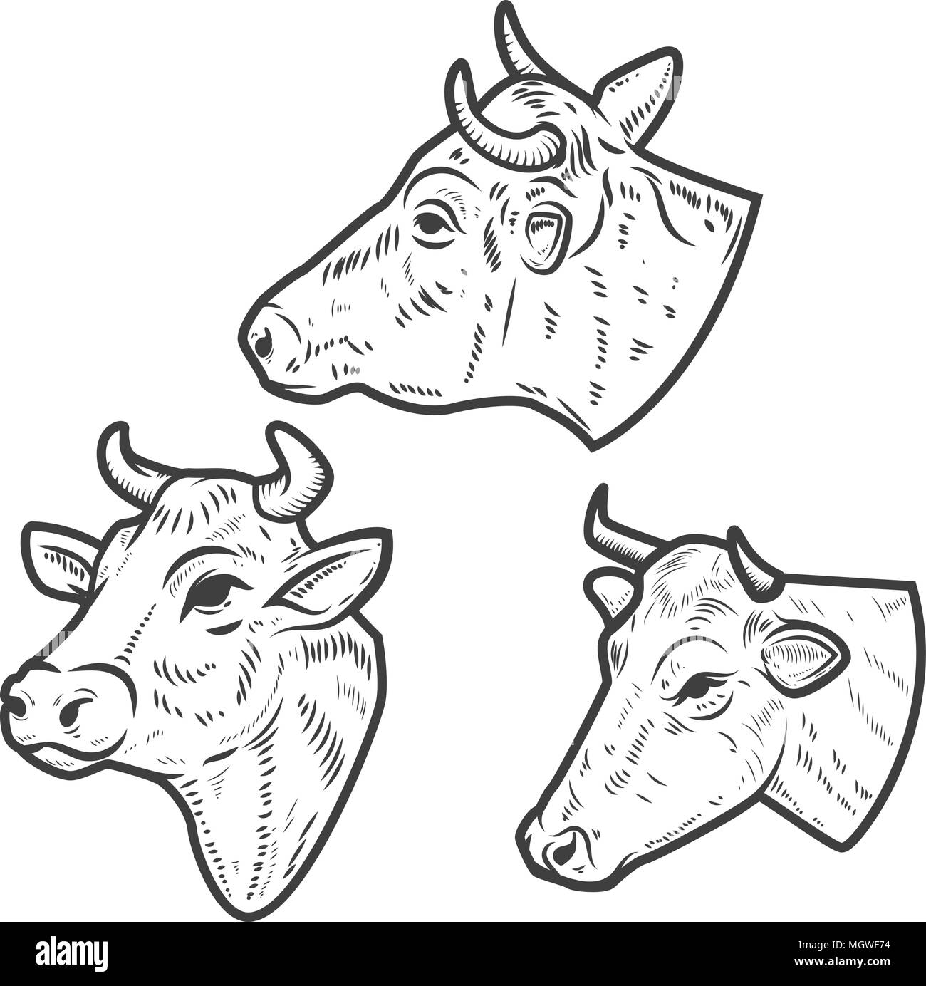 Ensemble de têtes de vache sur fond blanc. L'élément de conception de logo, étiquette, emblème, signe. Image vectorielle Illustration de Vecteur