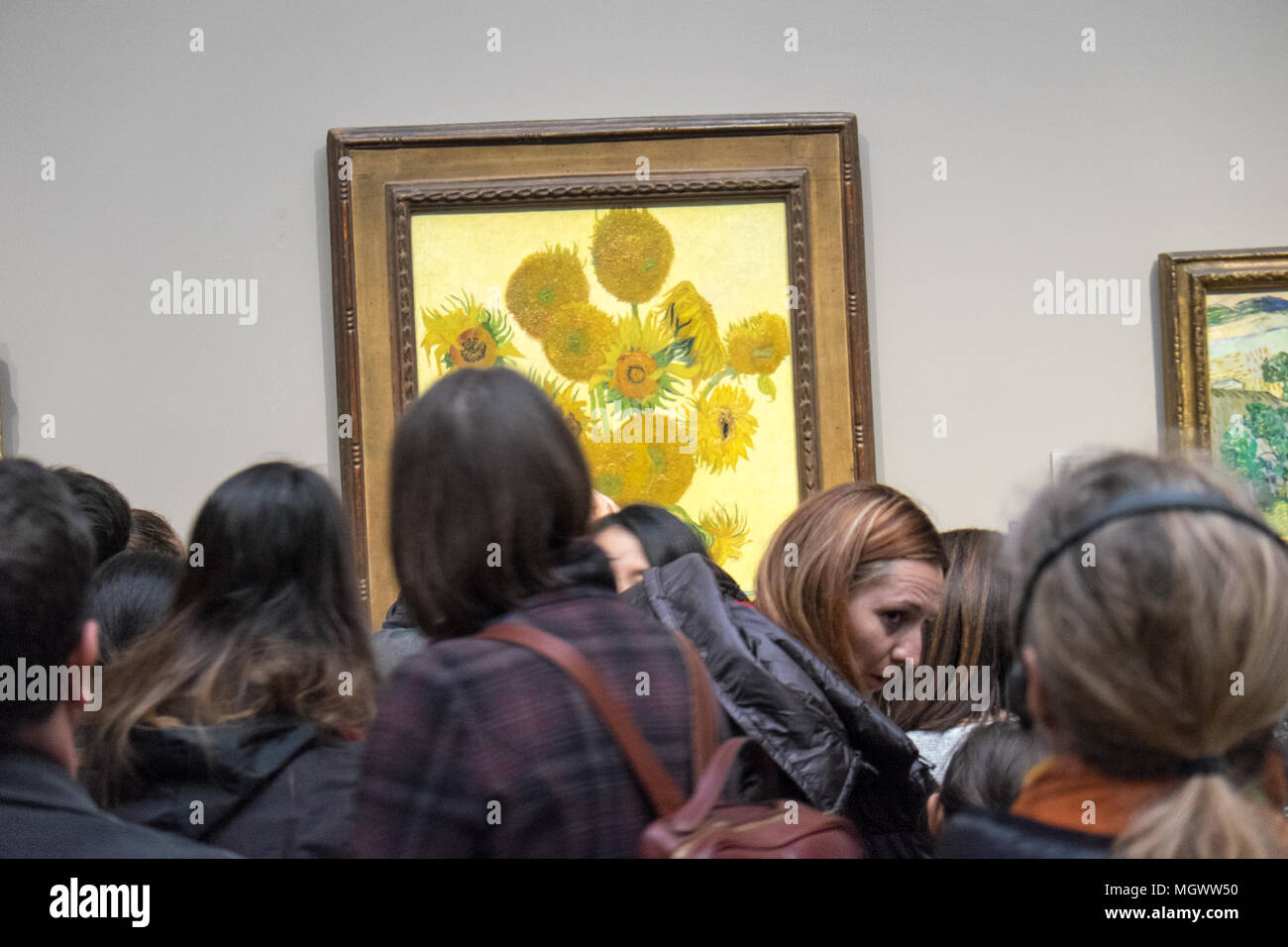 La photographie,mobile,camera,téléphones,Vincent Van Gogh,Tournesol,Peinture,,National Gallery, Trafalgar Square, Londres, Angleterre, Grande-Bretagne,GB,Royaume-uni,UK, Banque D'Images