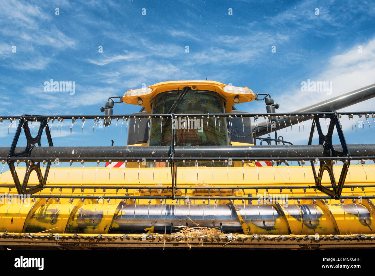 Très proche de la moissonneuse-batteuse moderne en action. Banque D'Images