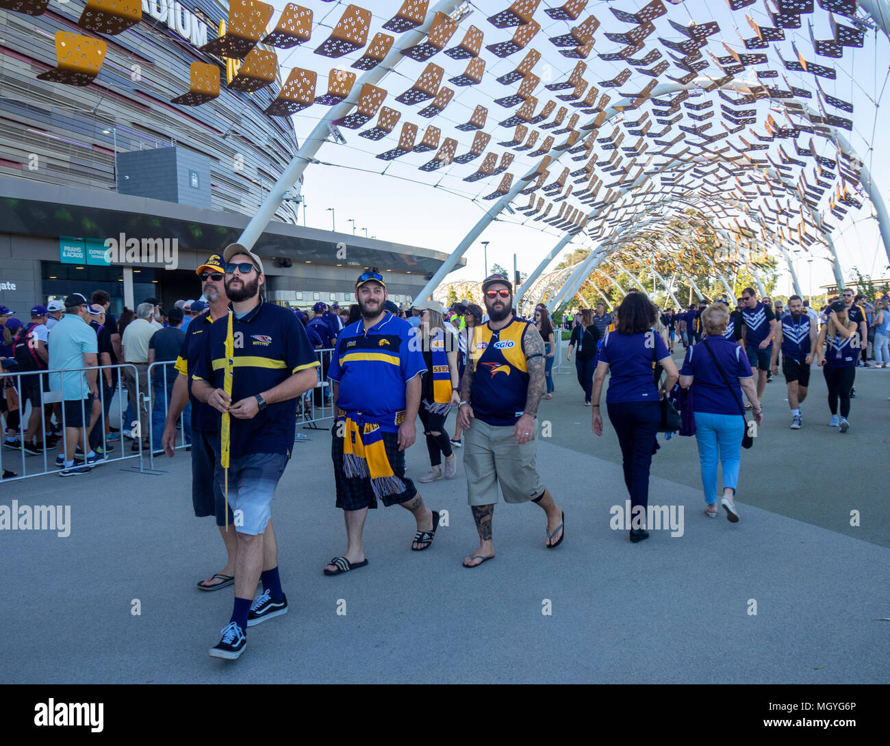 AFL Australian Rules Football fans aller au premier derby de Fremantle Dockers et West Coast Eagles à Stade Optus, Perth, WA, Australie. Banque D'Images