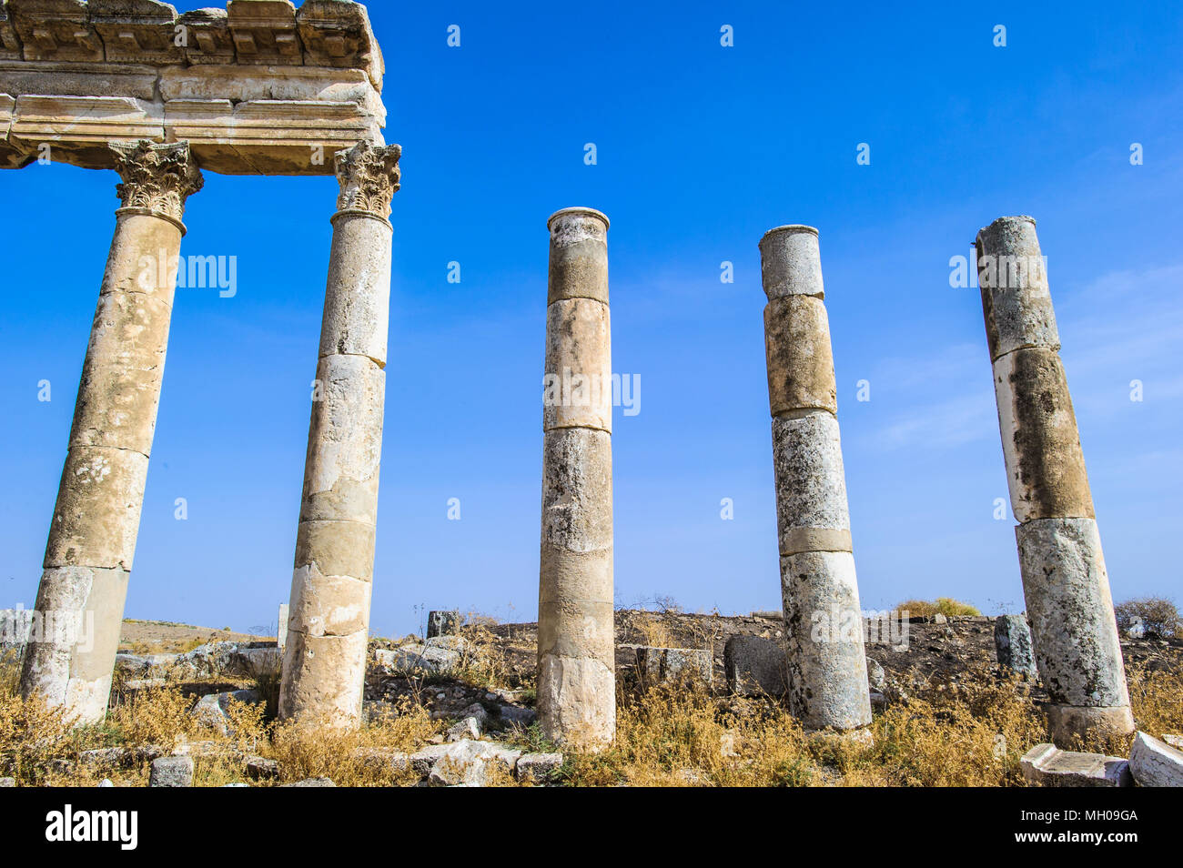 Les colonnes d'Apamée, Syrie Banque D'Images