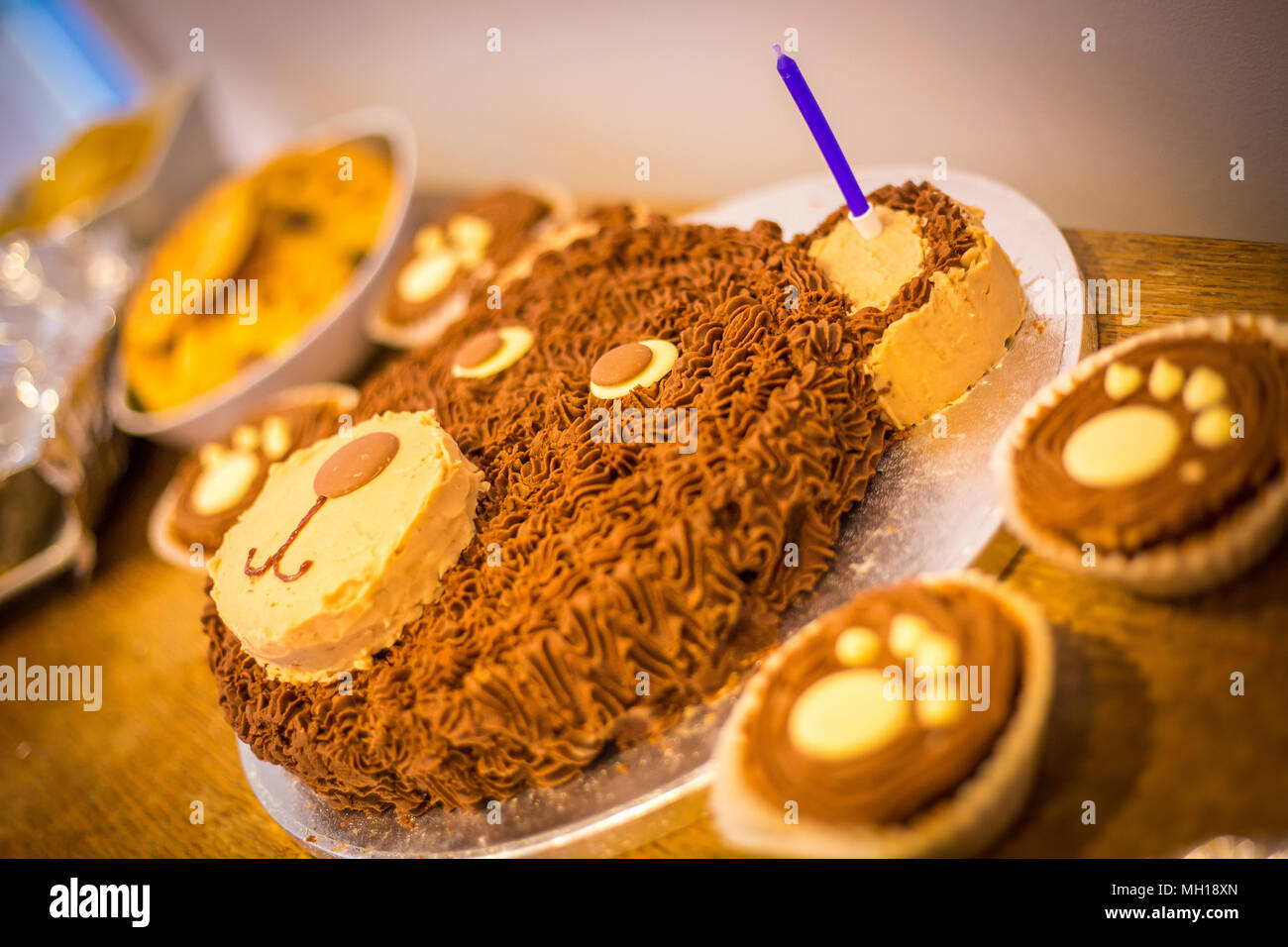 Ours En Peluche Pour Les Enfants Gateau D Anniversaire Avec Une Bougie Photo Stock Alamy