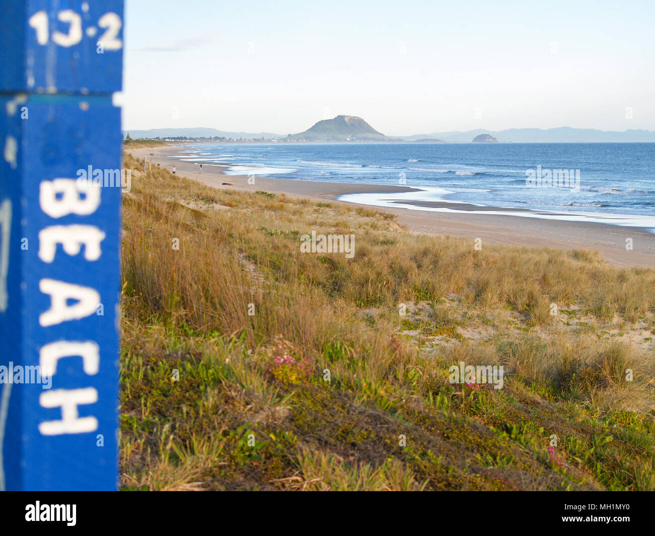 La longue plage côtière avec Mt Maunganui à distance avec 'Beach' signer en premier plan Banque D'Images