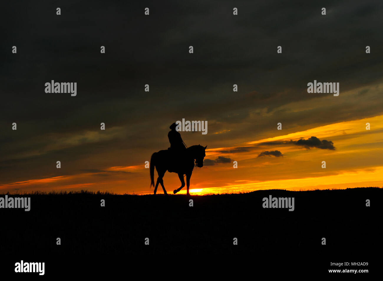 Cheval et cavalier seul à la faune, à cheval sur le côté, coucher du soleil Banque D'Images
