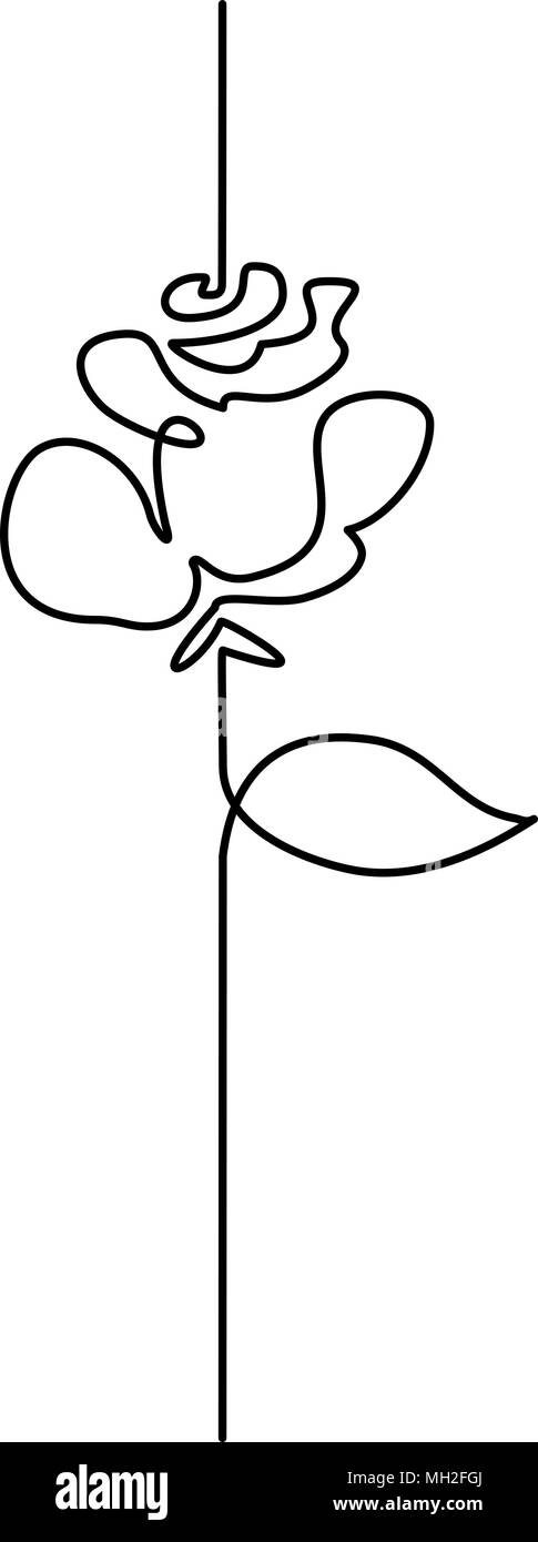 Dessin de ligne continu de belle fleur Illustration de Vecteur