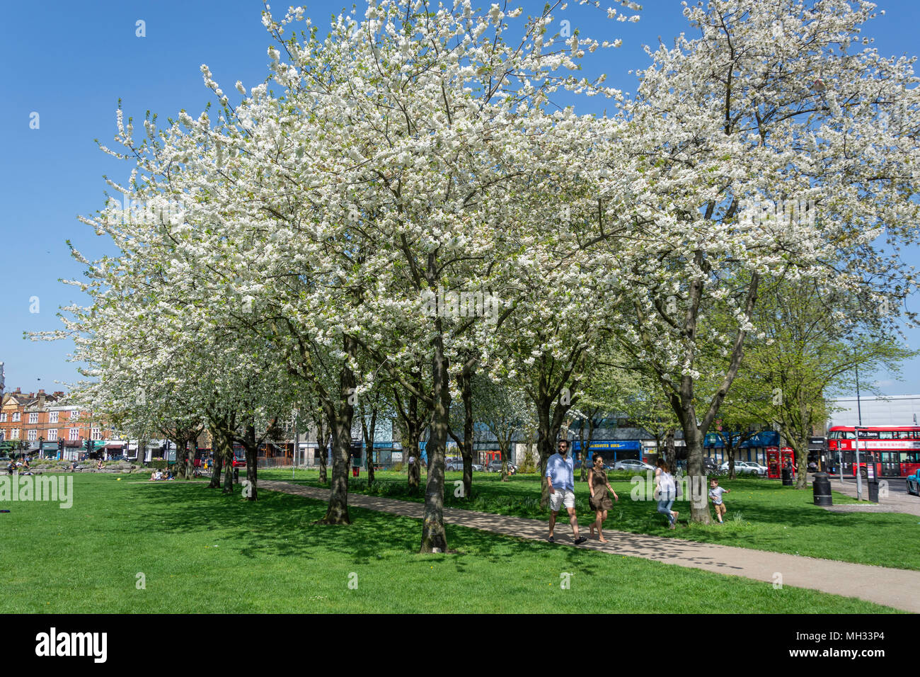 Au printemps Turnham Green, Chiswick, London Borough of London, Greater London, Angleterre, Royaume-Uni Banque D'Images