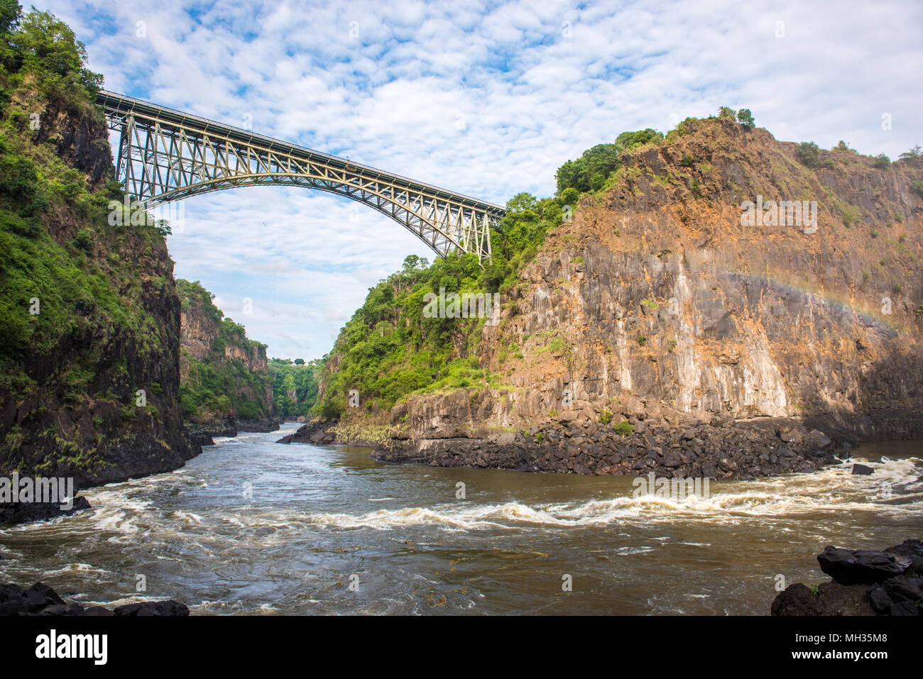 Le Pont de Victoria Falls traverse la rivière Zambezi entouré par d'épais, une végétation luxuriante. Parc national de Mosi-oa-Tunya, Zimbabwe Banque D'Images