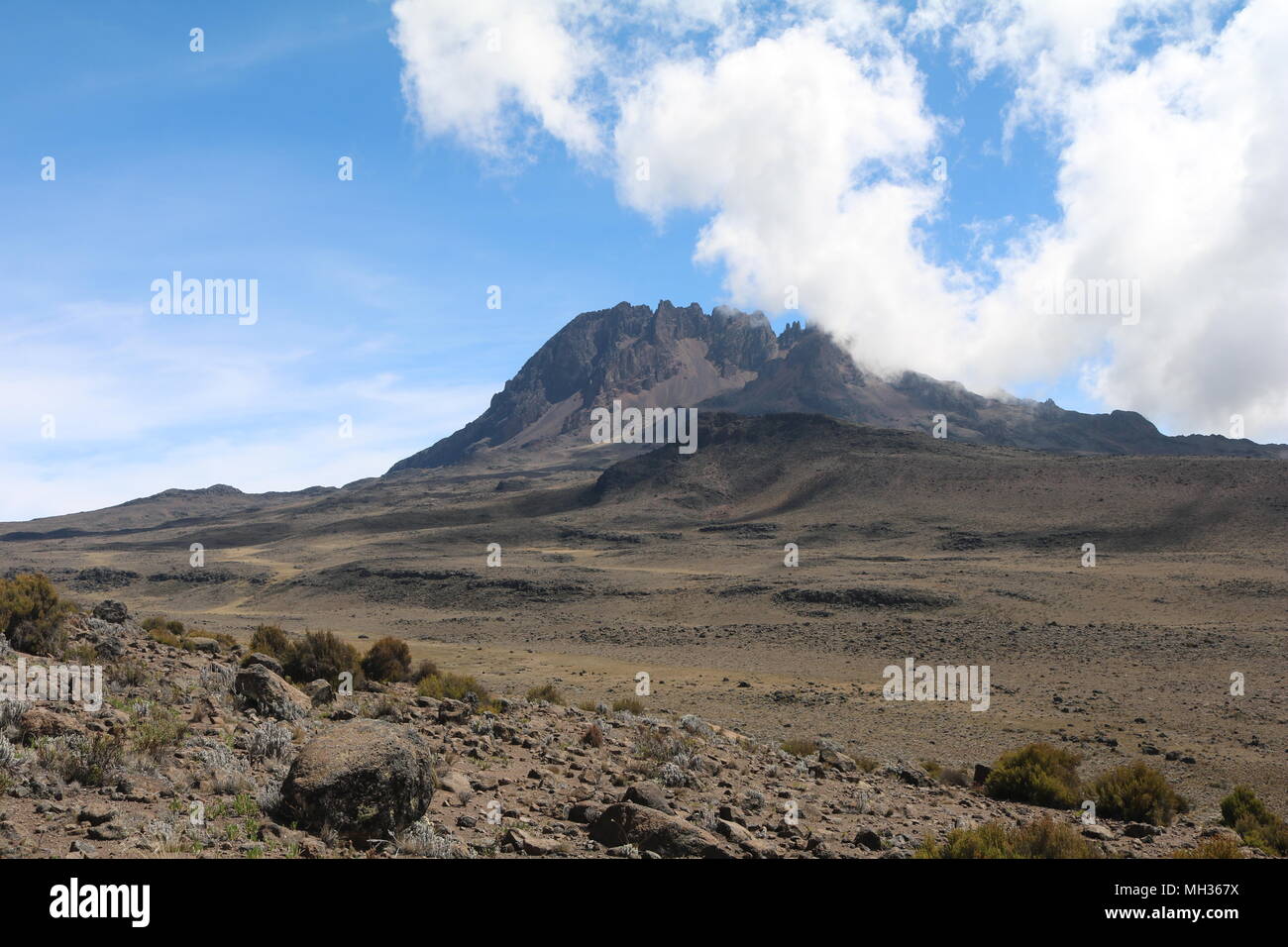 Le mont Kilimandjaro Banque D'Images