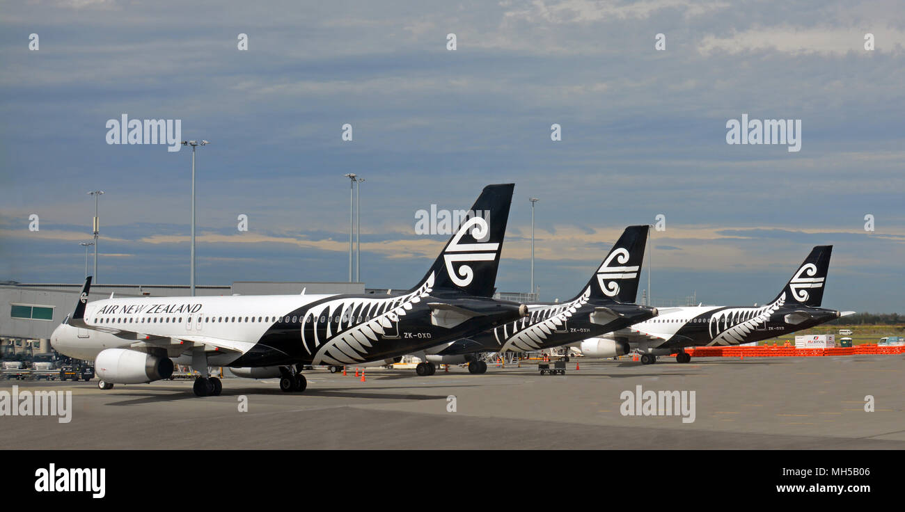 Christchurch, Nouvelle-Zélande - Février 26, 2016 ; trois jets d'Air New Zealand dans de nouvelles couleurs en noir et blanc la queue à l'Aéroport de Christchurch. Banque D'Images