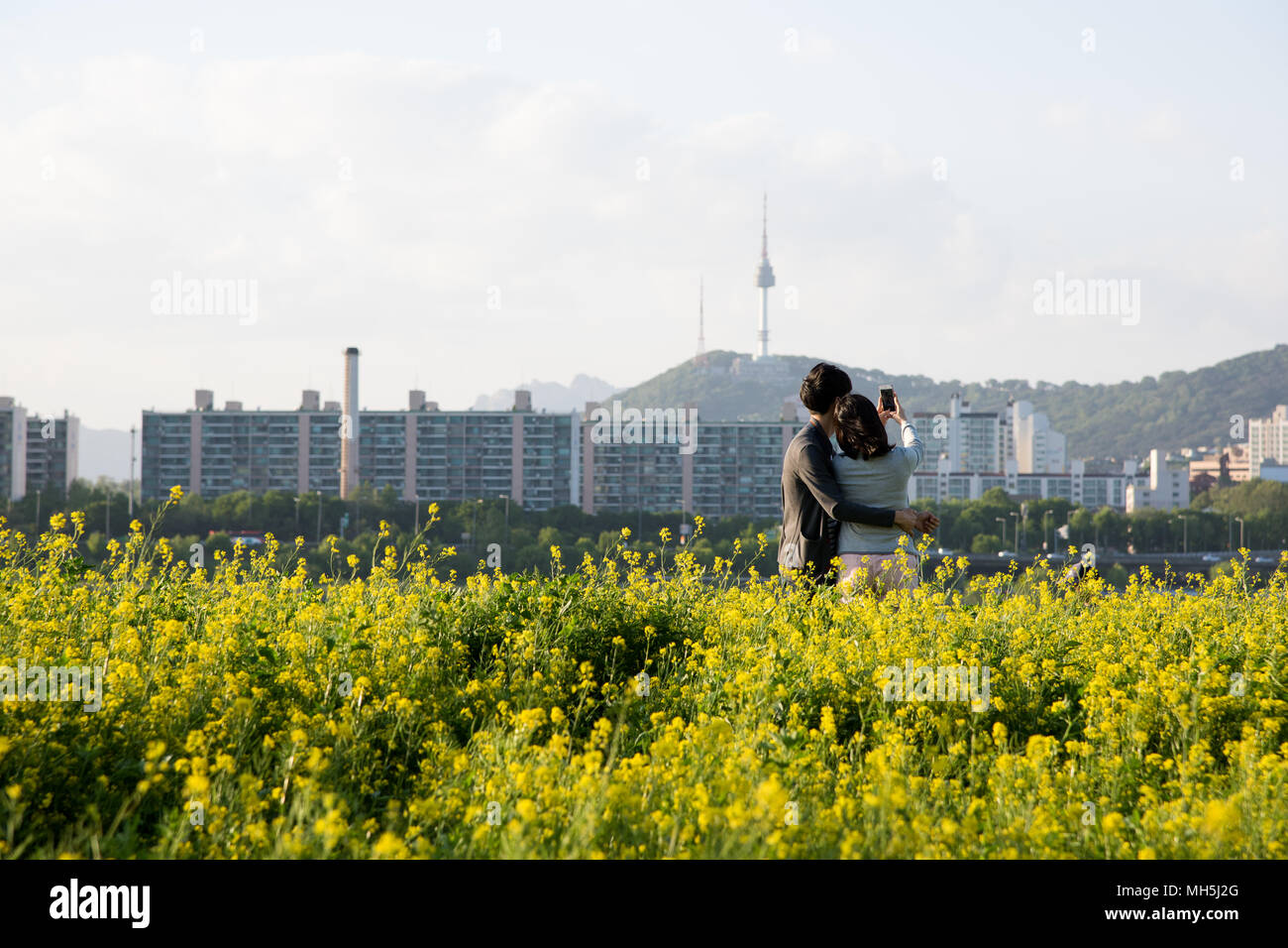 En couple avec le Canola selfies jaune fleurs champ dans le fleuve Han. Banque D'Images