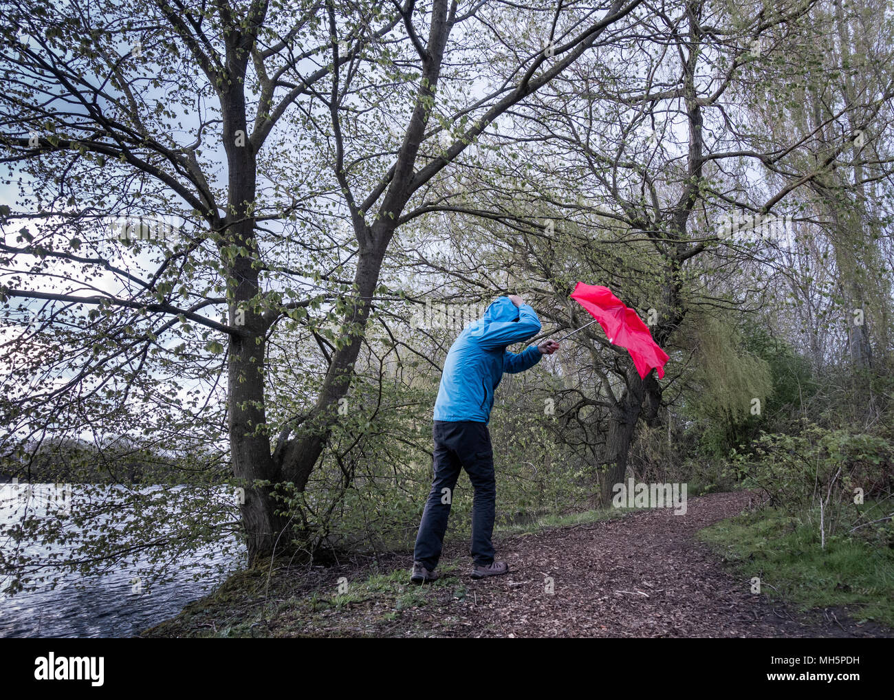 Homme avec un parapluie rouge le jour du vent/de l'orage. ROYAUME-UNI Banque D'Images