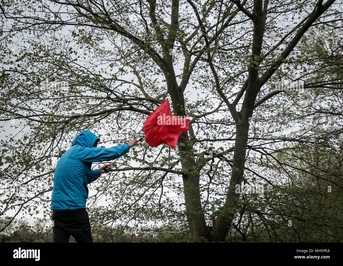 Homme avec un parapluie rouge le jour du vent/de l'orage. ROYAUME-UNI Banque D'Images
