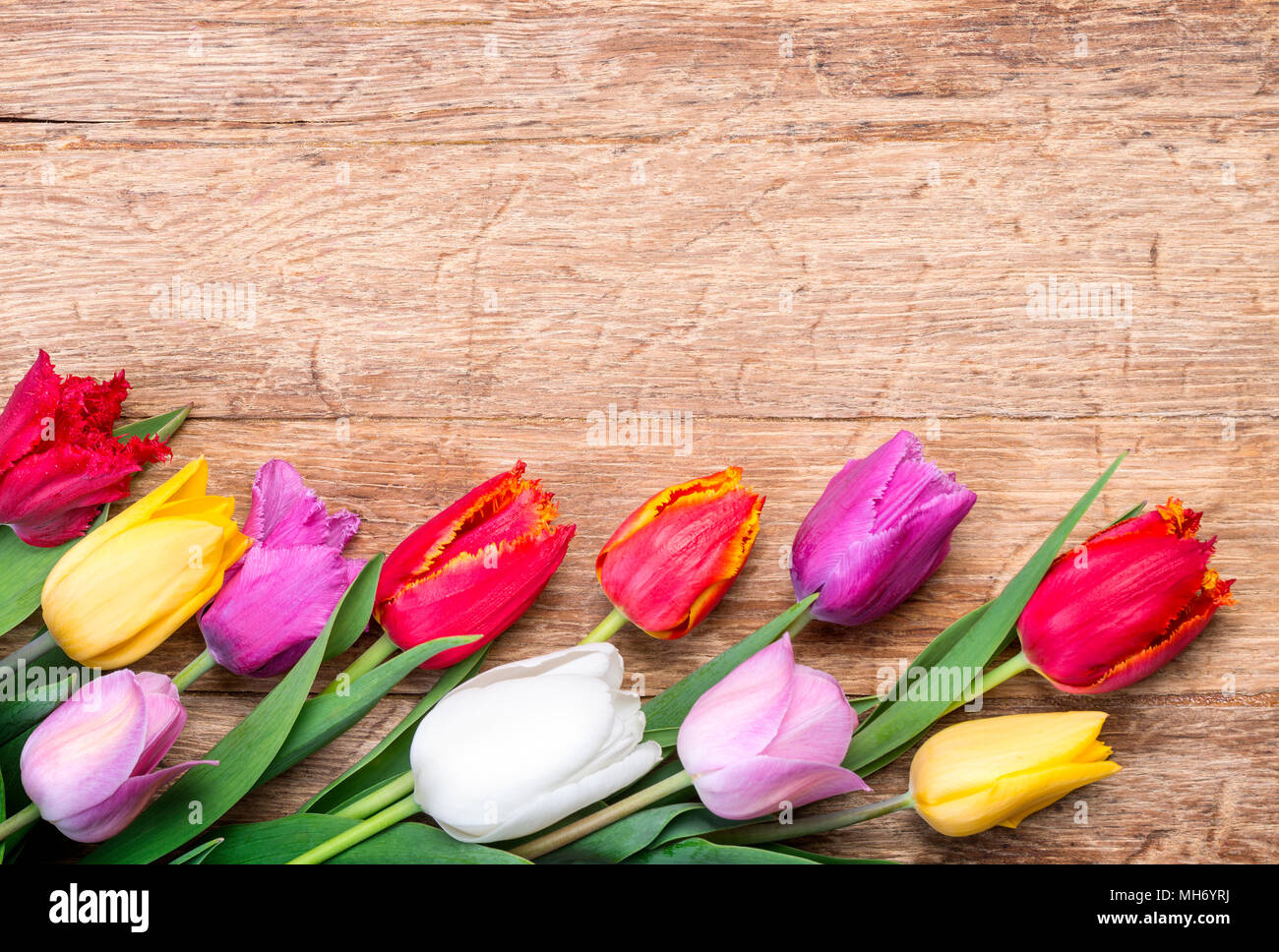 Bouquet de tulipes sur planches en bois, arrière-plan, Vue de dessus de l'espace de copie Banque D'Images