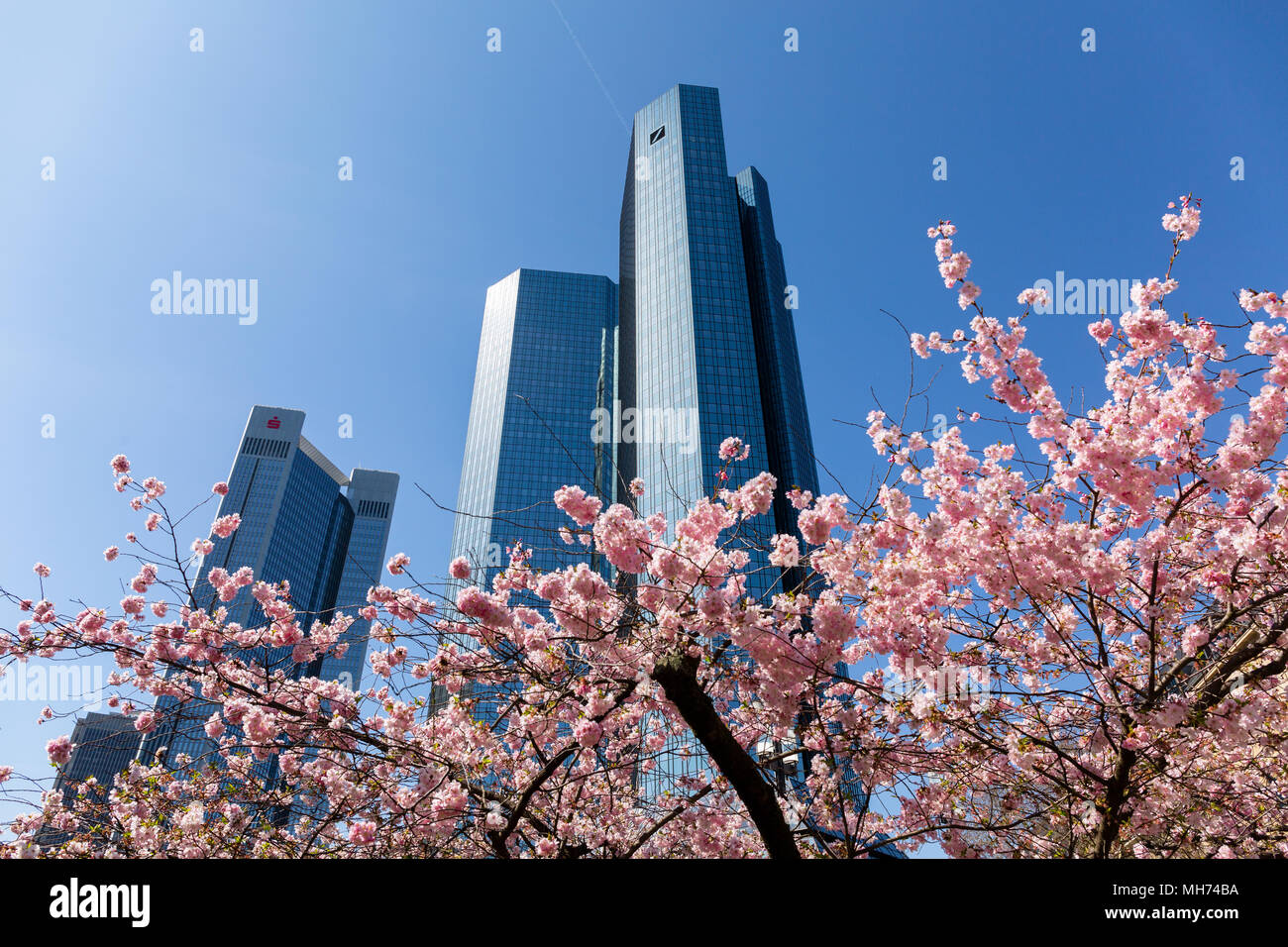 Vue depuis le bas pour les tours de la siège de la Deutsche Bank à Francfort-sur-Main, Frankfurt - Allemagne, 07 avril 2018 Banque D'Images