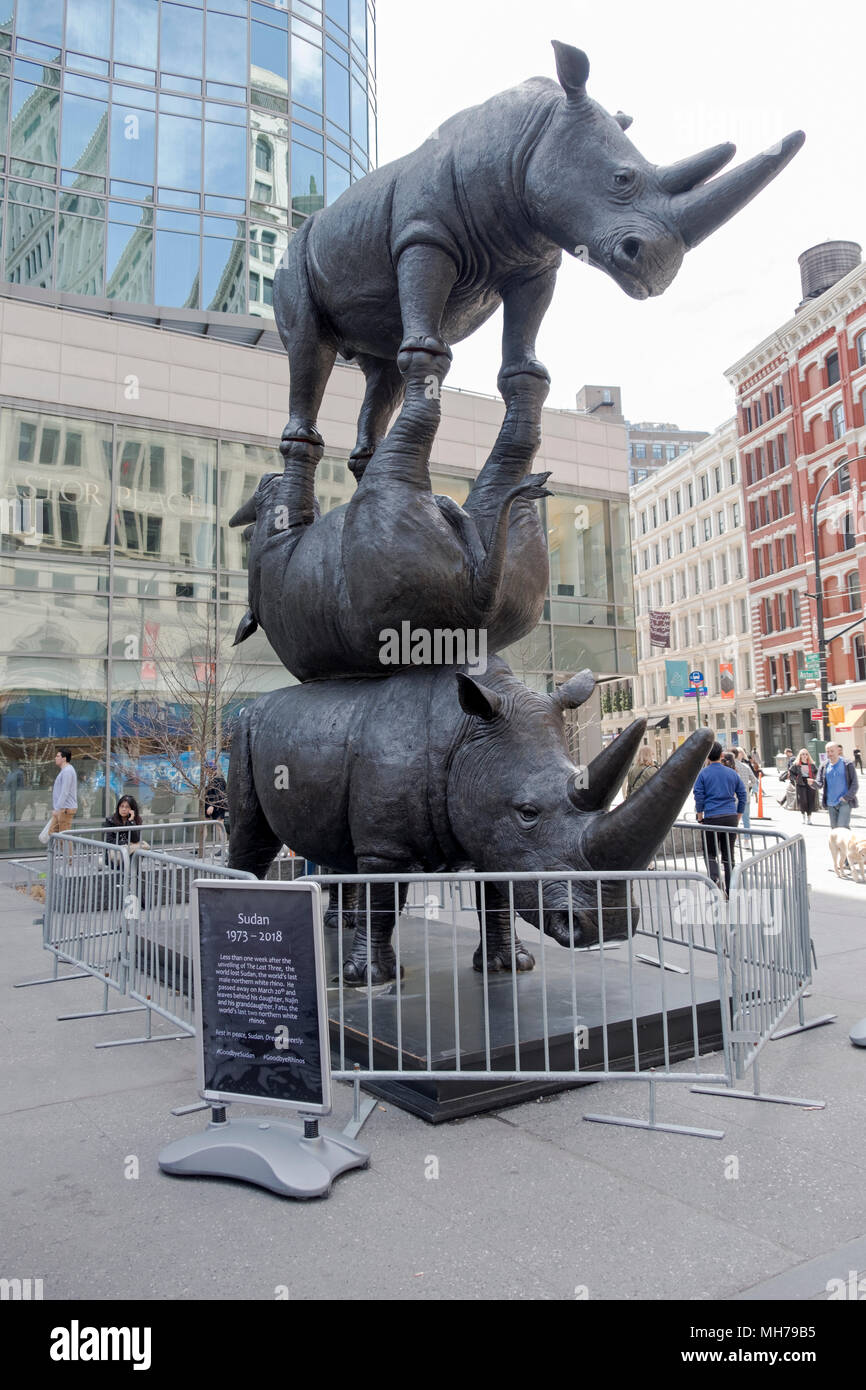 Les trois derniers, une statue en bronze de la dernière 3 rhinocéros blancs du nord qui reste affichée sur Astor Place dans l'East Village, Manhattan, New York. Banque D'Images