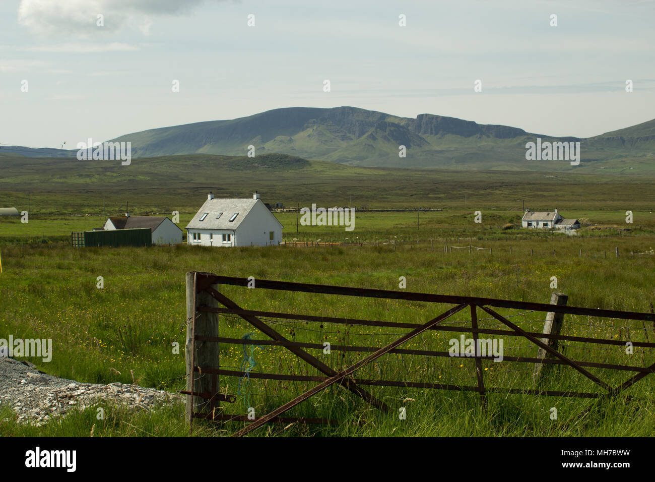 Paysage rural avec de l'herbe verte luxuriante, maisons et collines au loin Banque D'Images