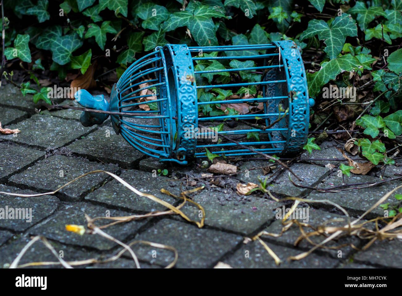 Cage sur marbre ancien Brid Banque D'Images