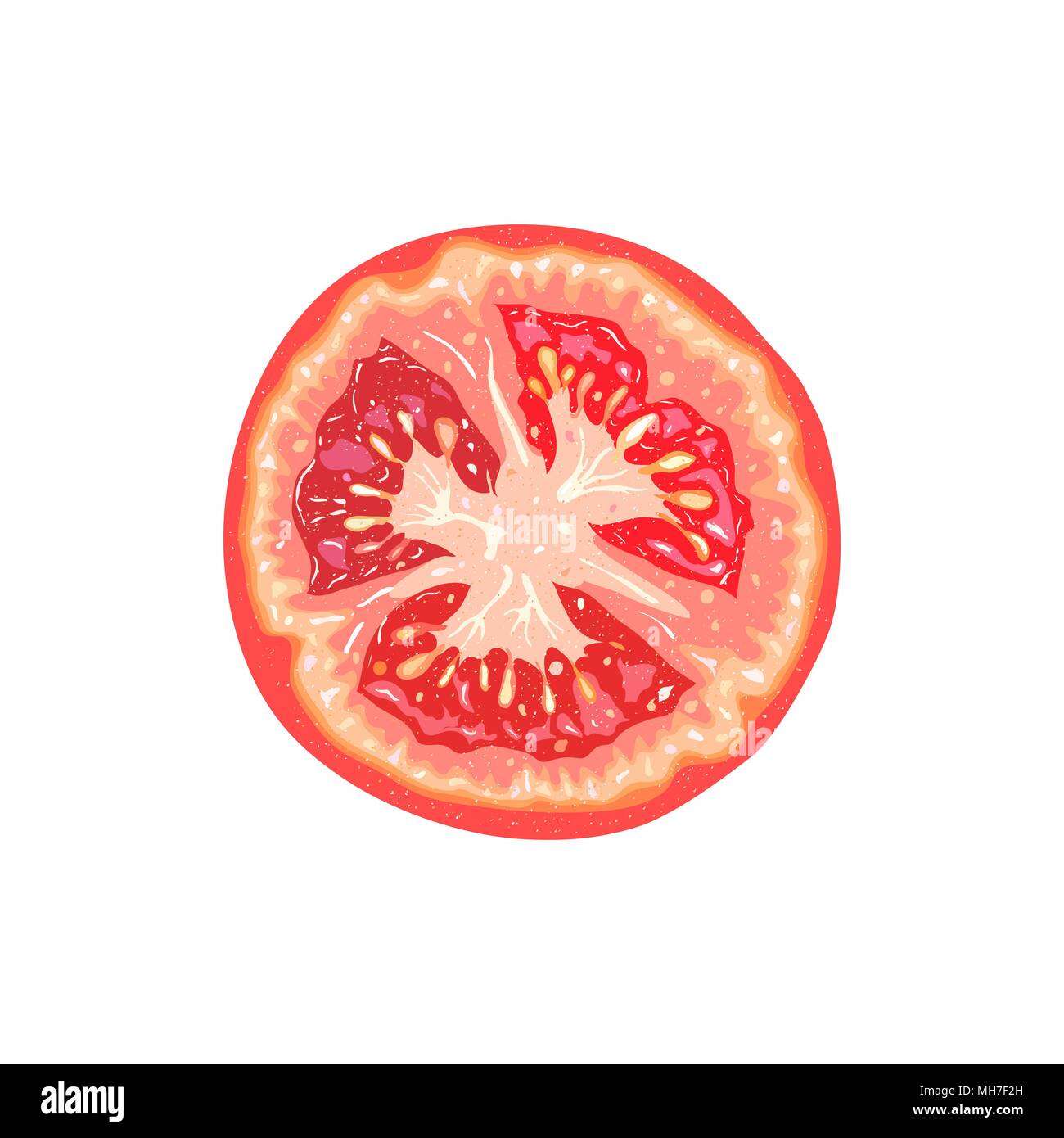 Vector tranche de tomate. Illustration de tomate Illustration de Vecteur